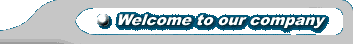 Welcome to our company